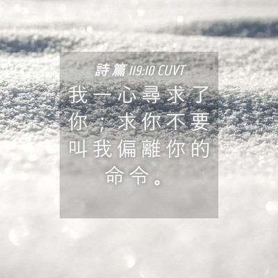 Picture 04 - 詩 篇 119:10 CUVT - 我 一 心 尋 求 了 你 ； 求 你 不 要 - Bible Verse Picture