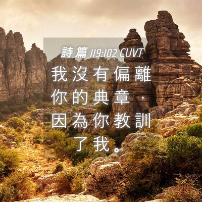 Picture 04 - 詩 篇 119:102 CUVT - 我 沒 有 偏 離 你 的 典 章 ， 因 為 - Bible Verse Picture