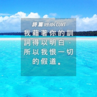 Picture 04 - 詩 篇 119:104 CUVT - 我 藉 著 你 的 訓 詞 得 以 明 白 ， - Bible Verse Picture