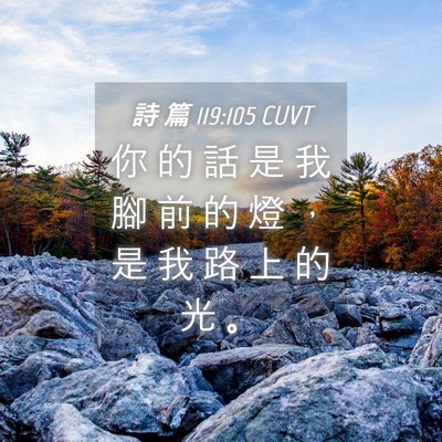 Picture 04 - 詩 篇 119:105 CUVT - 你 的 話 是 我 腳 前 的 燈 ， 是 我 - Bible Verse Picture