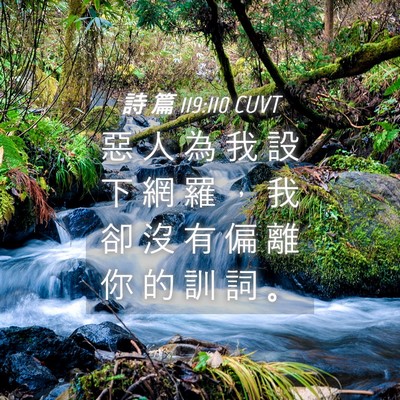 Picture 04 - 詩 篇 119:110 CUVT - 惡 人 為 我 設 下 網 羅 ， 我 卻 沒 - Bible Verse Picture