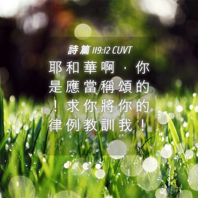 Picture 04 - 詩 篇 119:12 CUVT - 耶 和 華 啊 ， 你 是 應 當 稱 頌 的 - Bible Verse Picture