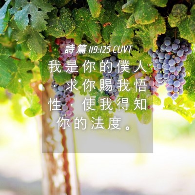 Picture 04 - 詩 篇 119:125 CUVT - 我 是 你 的 僕 人 ， 求 你 賜 我 悟 - Bible Verse Picture