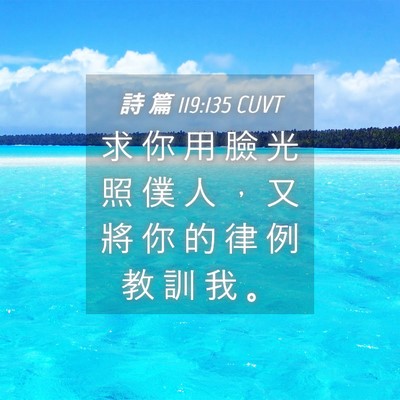 Picture 04 - 詩 篇 119:135 CUVT - 求 你 用 臉 光 照 僕 人 ， 又 將 你 - Bible Verse Picture