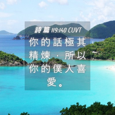 Picture 04 - 詩 篇 119:140 CUVT - 你 的 話 極 其 精 煉 ， 所 以 你 的 - Bible Verse Picture
