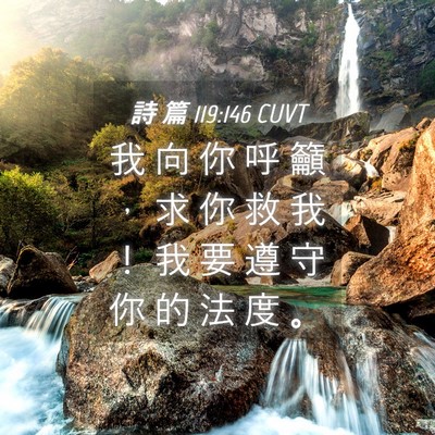 Picture 04 - 詩 篇 119:146 CUVT - 我 向 你 呼 籲 ， 求 你 救 我 ！ 我 - Bible Verse Picture