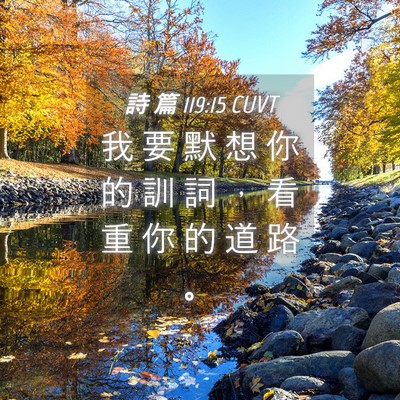 Picture 04 - 詩 篇 119:15 CUVT - 我 要 默 想 你 的 訓 詞 ， 看 重 你 - Bible Verse Picture