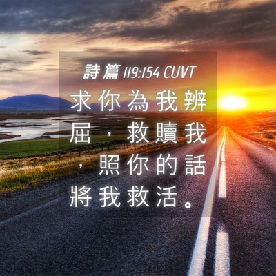 Picture 04 - 詩 篇 119:154 CUVT - 求 你 為 我 辨 屈 ， 救 贖 我 ， 照 - Bible Verse Picture