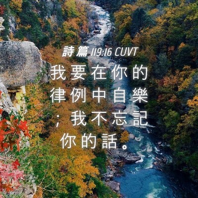 Picture 04 - 詩 篇 119:16 CUVT - 我 要 在 你 的 律 例 中 自 樂 ； 我 - Bible Verse Picture