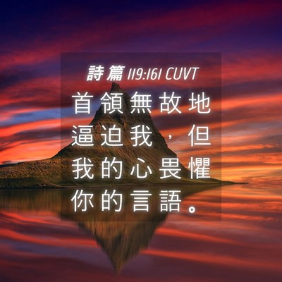 Picture 04 - 詩 篇 119:161 CUVT - 首 領 無 故 地 逼 迫 我 ， 但 我 的 - Bible Verse Picture