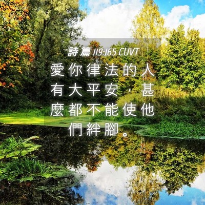 Picture 04 - 詩 篇 119:165 CUVT - 愛 你 律 法 的 人 有 大 平 安 ， 甚 - Bible Verse Picture