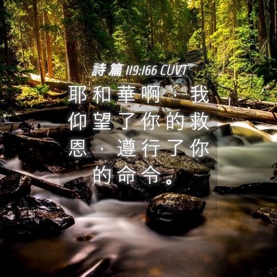 Picture 04 - 詩 篇 119:166 CUVT - 耶 和 華 啊 ， 我 仰 望 了 你 的 救 - Bible Verse Picture