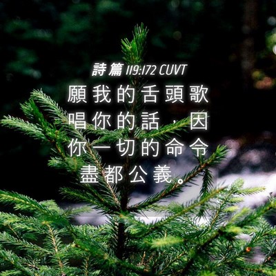 Picture 04 - 詩 篇 119:172 CUVT - 願 我 的 舌 頭 歌 唱 你 的 話 ， 因 - Bible Verse Picture