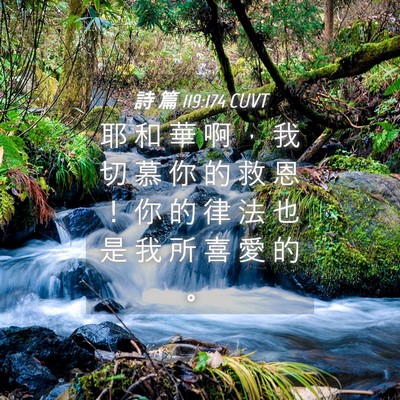 Picture 04 - 詩 篇 119:174 CUVT - 耶 和 華 啊 ， 我 切 慕 你 的 救 恩 - Bible Verse Picture