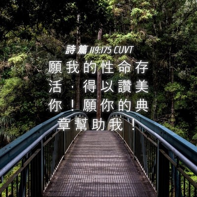 Picture 04 - 詩 篇 119:175 CUVT - 願 我 的 性 命 存 活 ， 得 以 讚 美 - Bible Verse Picture