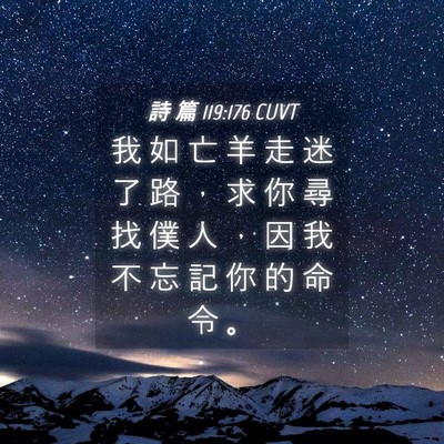 Picture 04 - 詩 篇 119:176 CUVT - 我 如 亡 羊 走 迷 了 路 ， 求 你 尋 - Bible Verse Picture