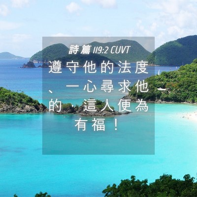 Picture 04 - 詩 篇 119:2 CUVT - 遵 守 他 的 法 度 、 一 心 尋 求 他 - Bible Verse Picture