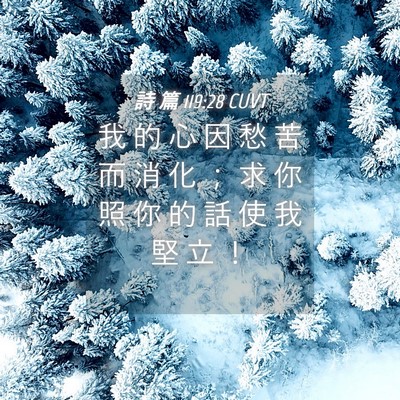 Picture 04 - 詩 篇 119:28 CUVT - 我 的 心 因 愁 苦 而 消 化 ； 求 你 - Bible Verse Picture