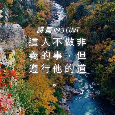 Picture 04 - 詩 篇 119:3 CUVT - 這 人 不 做 非 義 的 事 ， 但 遵 行 - Bible Verse Picture