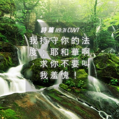 Picture 04 - 詩 篇 119:31 CUVT - 我 持 守 你 的 法 度 ； 耶 和 華 啊 - Bible Verse Picture