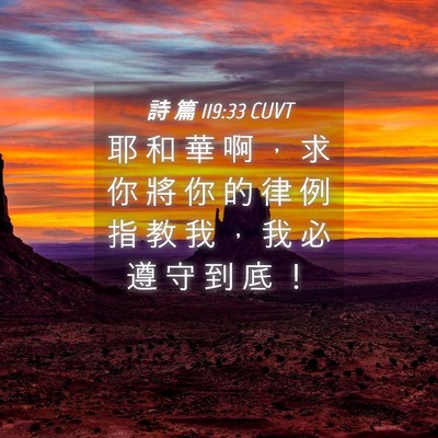 Picture 04 - 詩 篇 119:33 CUVT - 耶 和 華 啊 ， 求 你 將 你 的 律 例 - Bible Verse Picture