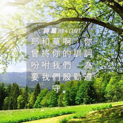 Picture 04 - 詩 篇 119:4 CUVT - 耶 和 華 啊 ， 你 曾 將 你 的 訓 詞 - Bible Verse Picture