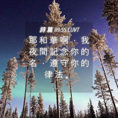 Picture 04 - 詩 篇 119:55 CUVT - 耶 和 華 啊 ， 我 夜 間 記 念 你 的 - Bible Verse Picture