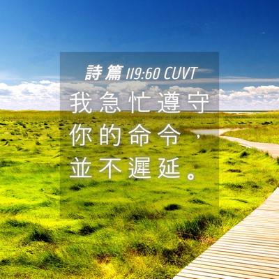 Picture 04 - 詩 篇 119:60 CUVT - 我 急 忙 遵 守 你 的 命 令 ， 並 不 - Bible Verse Picture