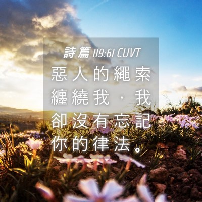 Picture 04 - 詩 篇 119:61 CUVT - 惡 人 的 繩 索 纏 繞 我 ， 我 卻 沒 - Bible Verse Picture