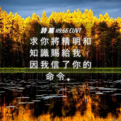 Picture 04 - 詩 篇 119:66 CUVT - 求 你 將 精 明 和 知 識 賜 給 我 ， - Bible Verse Picture