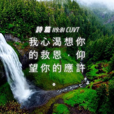 Picture 04 - 詩 篇 119:81 CUVT - 我 心 渴 想 你 的 救 恩 ， 仰 望 你 - Bible Verse Picture