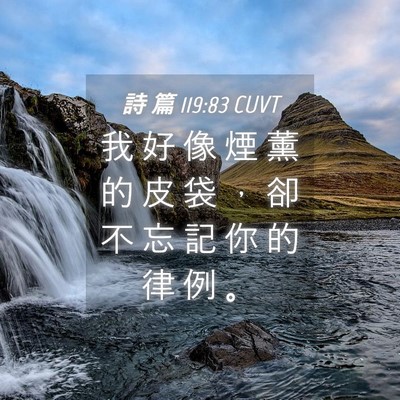 Picture 04 - 詩 篇 119:83 CUVT - 我 好 像 煙 薰 的 皮 袋 ， 卻 不 忘 - Bible Verse Picture