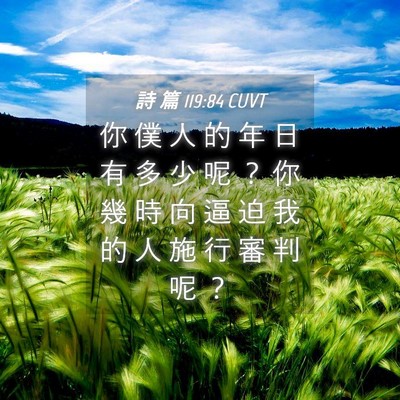Picture 04 - 詩 篇 119:84 CUVT - 你 僕 人 的 年 日 有 多 少 呢 ？ 你 - Bible Verse Picture