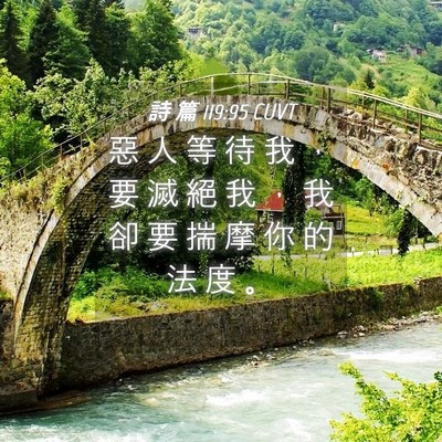 Picture 04 - 詩 篇 119:95 CUVT - 惡 人 等 待 我 ， 要 滅 絕 我 ， 我 - Bible Verse Picture