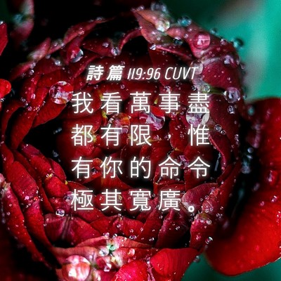 Picture 04 - 詩 篇 119:96 CUVT - 我 看 萬 事 盡 都 有 限 ， 惟 有 你 - Bible Verse Picture