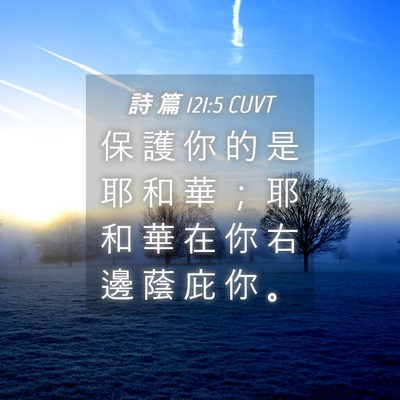 Picture 04 - 詩 篇 121:5 CUVT - 保 護 你 的 是 耶 和 華 ； 耶 和 華 - Bible Verse Picture