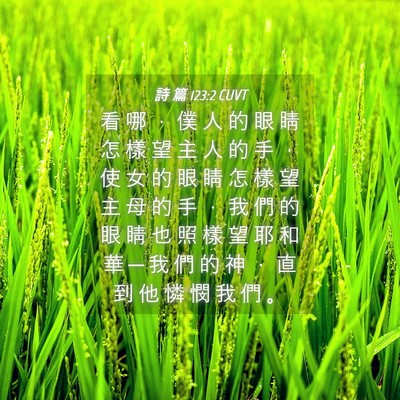 Picture 04 - 詩 篇 123:2 CUVT - 看 哪 ， 僕 人 的 眼 睛 怎 樣 望 主 - Bible Verse Picture