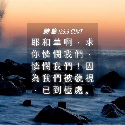 Picture 04 - 詩 篇 123:3 CUVT - 耶 和 華 啊 ， 求 你 憐 憫 我 們 ， - Bible Verse Picture