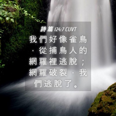 Picture 04 - 詩 篇 124:7 CUVT - 我 們 好 像 雀 鳥 ， 從 捕 鳥 人 的 - Bible Verse Picture