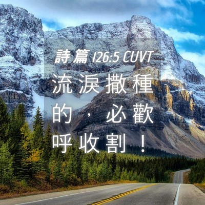 Picture 04 - 詩 篇 126:5 CUVT - 流 淚 撒 種 的 ， 必 歡 呼 收 割 - Bible Verse Picture