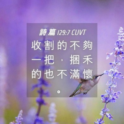 Picture 04 - 詩 篇 129:7 CUVT - 收 割 的 不 夠 一 把 ， 捆 禾 的 也 - Bible Verse Picture
