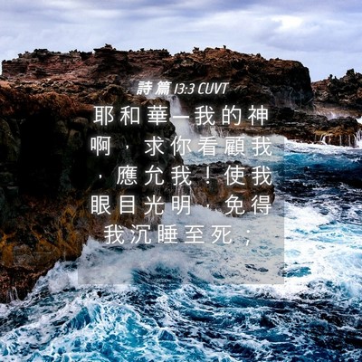Picture 04 - 詩 篇 13:3 CUVT - 耶 和 華 ─ 我 的 神 啊 ， 求 你 看 - Bible Verse Picture