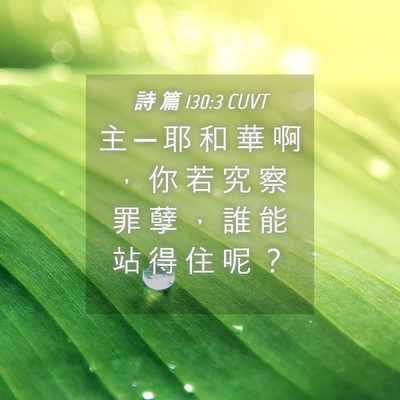 Picture 04 - 詩 篇 130:3 CUVT - 主 ─ 耶 和 華 啊 ， 你 若 究 察 罪 - Bible Verse Picture