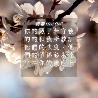 Picture 04 - 詩 篇 132:12 CUVT - 你 的 眾 子 若 守 我 的 約 和 我 所 - Bible Verse Picture