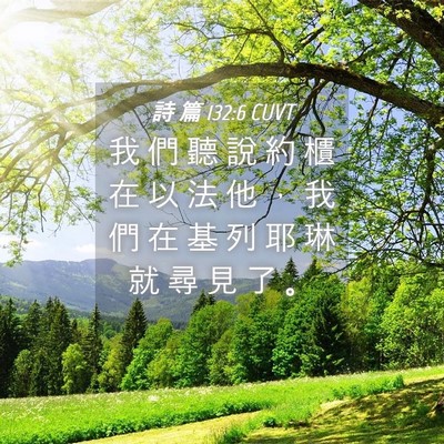 Picture 04 - 詩 篇 132:6 CUVT - 我 們 聽 說 約 櫃 在 以 法 他 ， 我 - Bible Verse Picture