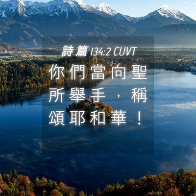 Picture 04 - 詩 篇 134:2 CUVT - 你 們 當 向 聖 所 舉 手 ， 稱 頌 耶 - Bible Verse Picture