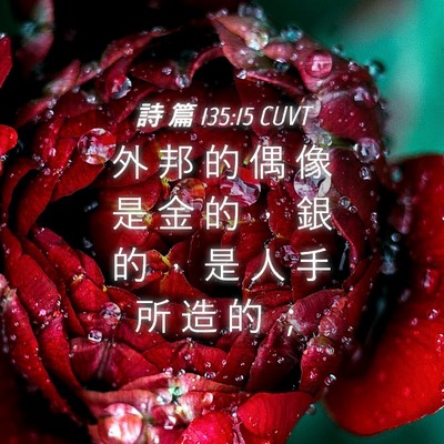 Picture 04 - 詩 篇 135:15 CUVT - 外 邦 的 偶 像 是 金 的 ， 銀 的 ， - Bible Verse Picture