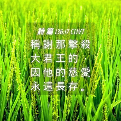 Picture 04 - 詩 篇 136:17 CUVT - 稱 謝 那 擊 殺 大 君 王 的 ， 因 他 - Bible Verse Picture