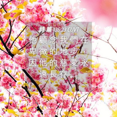 Picture 04 - 詩 篇 136:23 CUVT - 他 顧 念 我 們 在 卑 微 的 地 步 ， - Bible Verse Picture