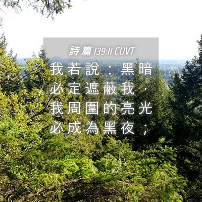 Picture 04 - 詩 篇 139:11 CUVT - 我 若 說 ： 黑 暗 必 定 遮 蔽 我 ， - Bible Verse Picture